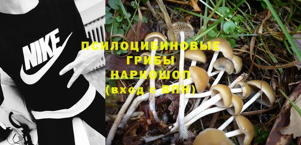 Альфа ПВП Богданович