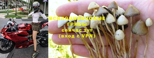 Альфа ПВП Богданович
