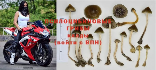 mdpv Михайловск