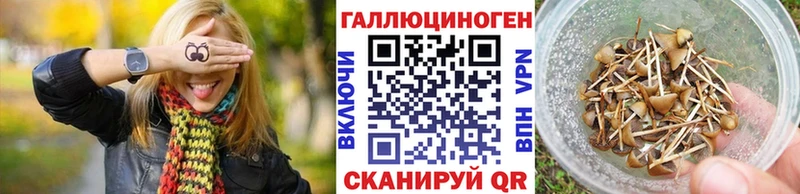 где купить наркоту Добрянка Псилоцибиновые грибы MAGIC MUSHROOMS